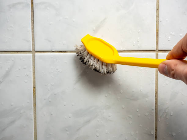Best Commercial Mold Removal  in Cove Creek, NC