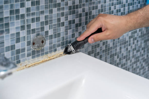 Best Black Mold Removal  in Cove Creek, NC